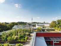 Dachgarten Wagnis 4, Auszeichnung in der Kategorie Quartiersentwicklung / Wohnumfeld