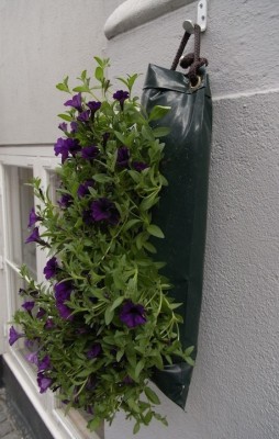 hängen die Blumen in praktischen Kunststoffbeuten an der Fassade.