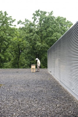 Imker Jürgen Dyckerhoff bei seiner Arbeit auf dem Dach des Hauses der Architektur.