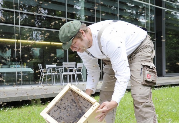 Der Imker und der Bienenschwarm.