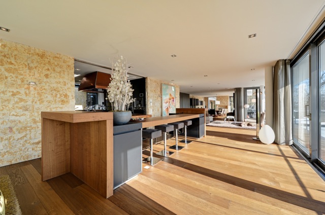 Villa Am Isarhochufer Muenchenarchitektur