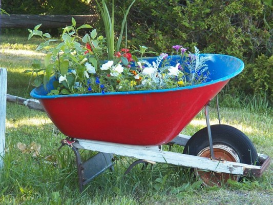 Aus Garten mach Wohnung