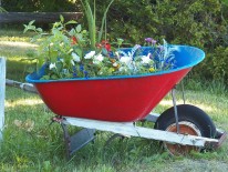 208wheelbarrow71711640