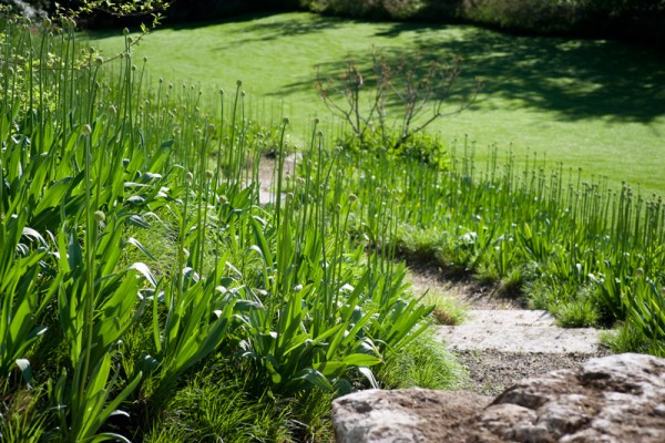 Haus S Gräsergarten