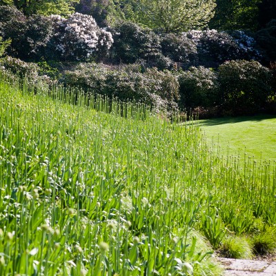 Haus S Gräsergarten