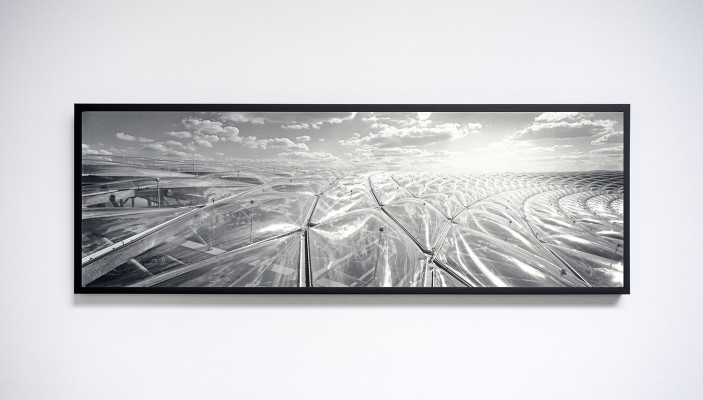 Motiv 3 - Rahmen Eiche schwarz | Museum Archival Pigment Print auf Hahnemühlen | 105 x 35 cm | Auflage: 25 Exemplare | Foto 2005/Print 2016