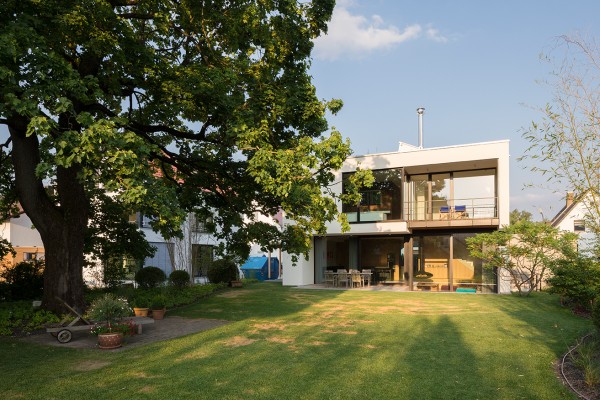 house with a tree