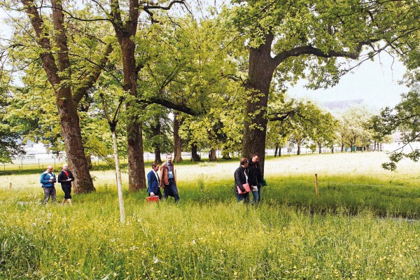 „Gemeinsamen Erkunden“ – Auch die zwölfte Auflage der Tri Anfang April 2018 in Bregenz bietet wieder viele Gelegenheiten zum gemeinsamen Erkunden, wie in der Vergangenheit bei „Geh-Sprächen“. © Anja Köhler