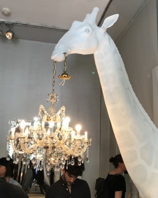 Die Antwort auf Mooois Horse Lamp