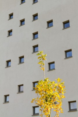 Neubau eines Bürogebäudes mit Café