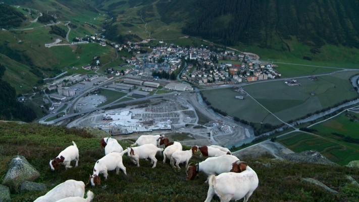 Kammer im Kino: Andermatt - Global Village