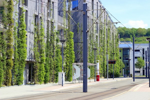 Grüne Vielfalt statt grauer Beton