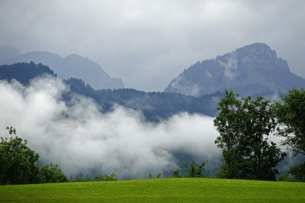 Natürliches Gehirndoping