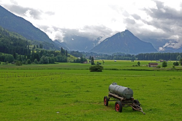 Natürliches Gehirndoping