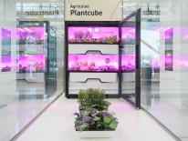 Agrilution Plantcube. Foto © bayern design & Sebastian Lock