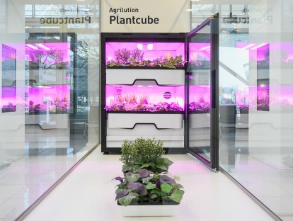 Agrilution Plantcube. Foto © bayern design & Sebastian Lock