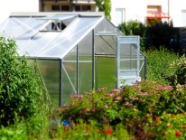 195greenhouse8274641920