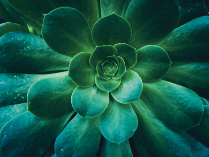 © Unsplash/Ronit Shaked