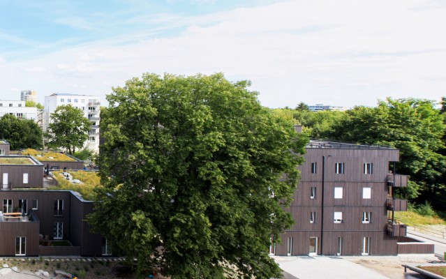 ...Baufeld WA15 Ost der ökologischen Mustersiedlung