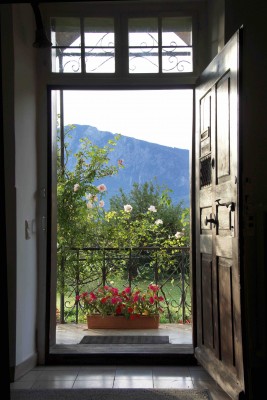 Blick in den Gemeinschaftsgarten. Foto: Sr. Josefa Thusbaß