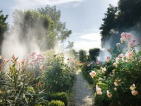 BILD:   		50 Gartenporträts        