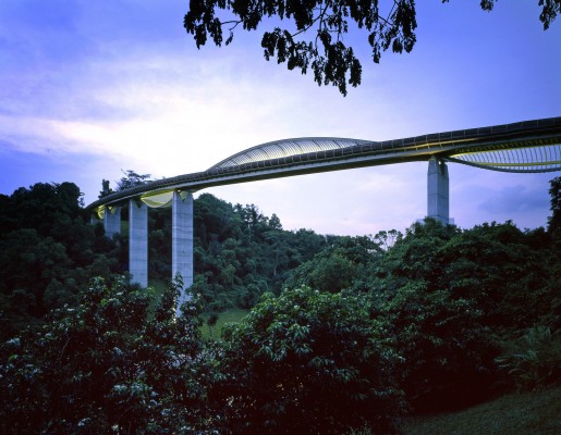 Henderson Waves Footbridge Singapur © AKT II