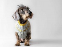 Modell RABAUKEN GANG - YELLOW GOES GREY