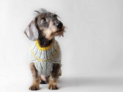 Modell RABAUKEN GANG - YELLOW GOES GREY