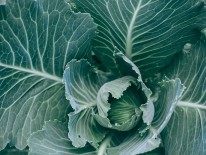 791BaliKempinskiNachhaltigkeitpexelsmariaorlova4947354