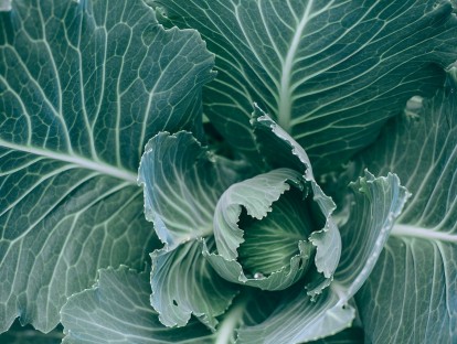 791BaliKempinskiNachhaltigkeitpexelsmariaorlova4947354