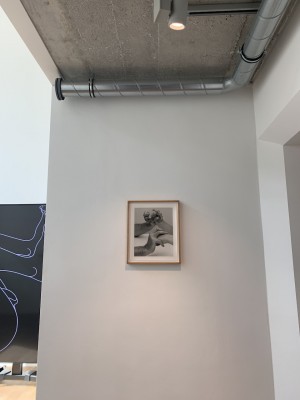 Beistand oder Zwang? Kunstwerk von Joanna Piotrowska; © AnArchitecturalLife
