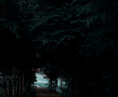 Polyvagal-Theorie und Hotelplanung