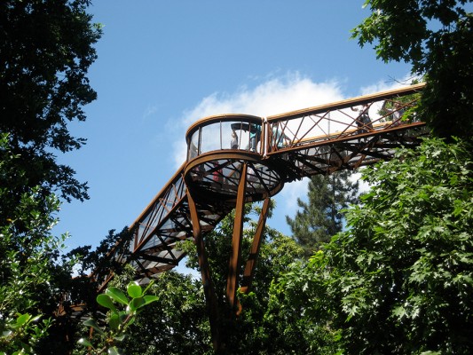 Kew Treetop Walkway © Jane Wernick