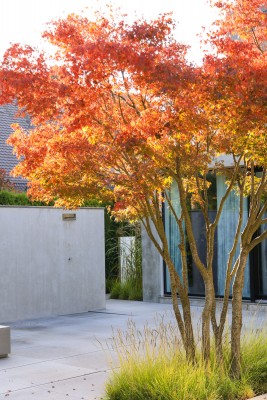 Betonwand als Gartendusche