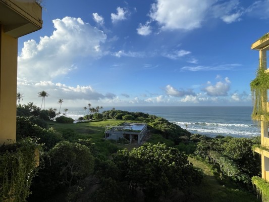 Mein Blick vom Balkon