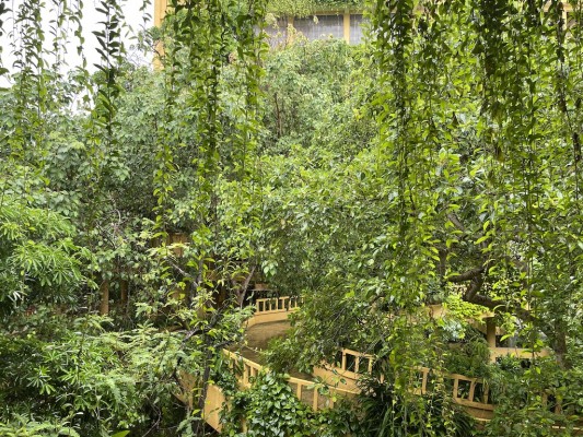 Das Gebäude verschwindet teils im tropischen Dschungel