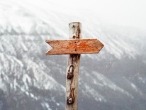 ©pexels/Jens Johnsson