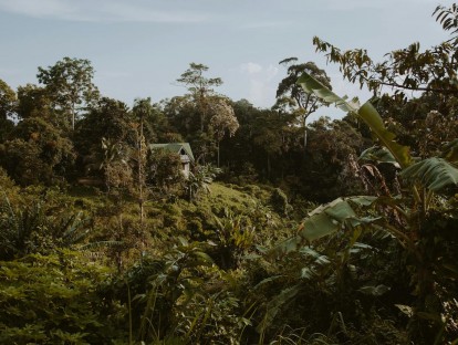 ©pexels/cottonbro studio