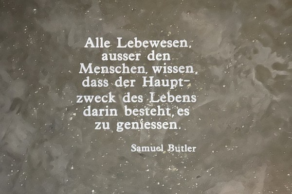 Check in statt Burn out | Nr. 6