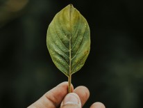 © pexels/Alan Cabello