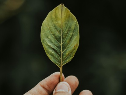 © pexels/Alan Cabello