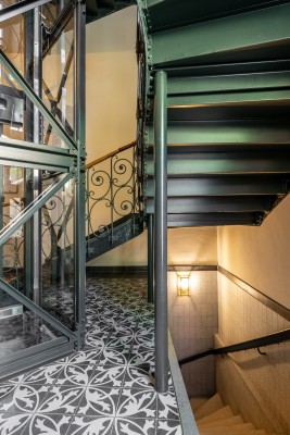 Krachers neue Doppelzwiebel