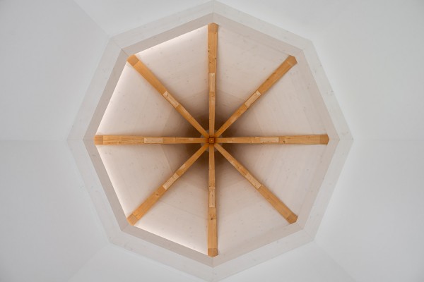 Krachers neue Doppelzwiebel