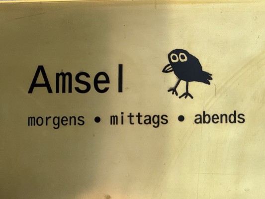 Die Amsel kocht köstlich!