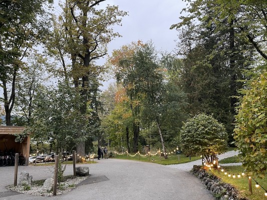 Der Park mit uralten Bäumen